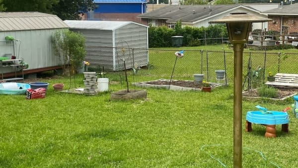 backyard garden